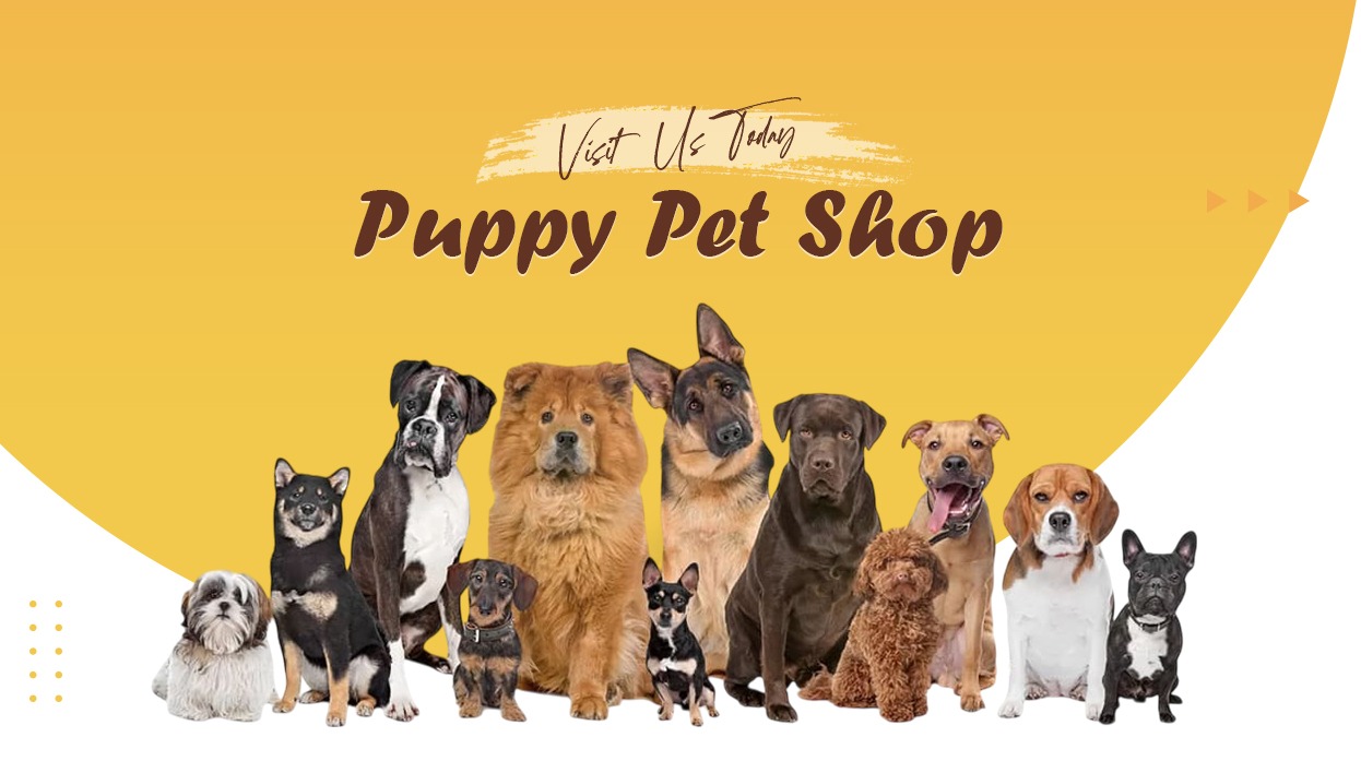 Puppy Pet Shop